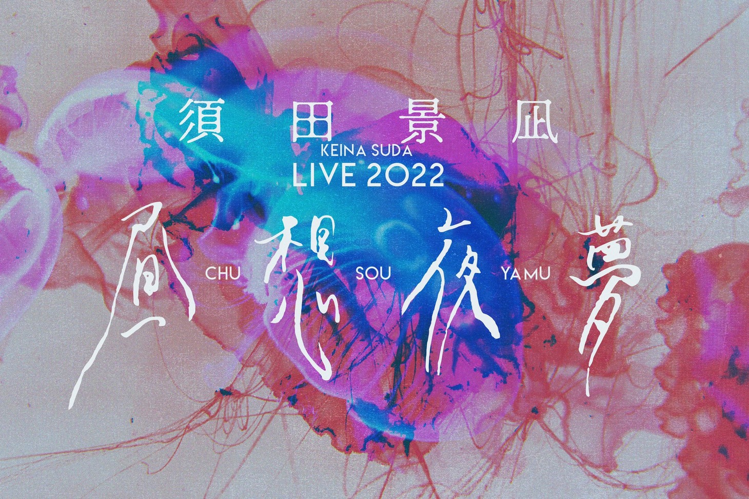 「須田景凪 LIVE 2022 "昼想夜夢"」ビジュアル