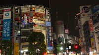 花譜の広告が掲出された東京・渋谷のスクランブル交差点。