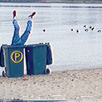 pavilion「Hit-or-Miss」配信ジャケット