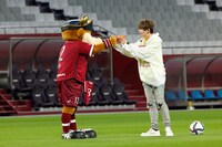 めいちゃん無料配信ライブ「『ファンファーレ！』inノエビアスタジアム神戸」より。（撮影：WISH 五十嵐和則）