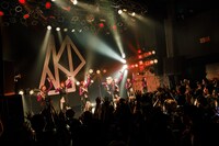 ASP（Photo by sotobayashi kenta）