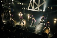 ASP（Photo by sotobayashi kenta）