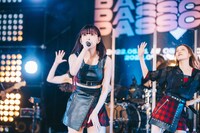 南菜生（Photo by Shingo Tamai）