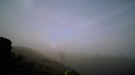 Daoko「燐光」ミュージックビデオのサムネイル。