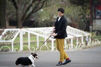 「渋谷先生がだいたい教えてくれる」第8話より。