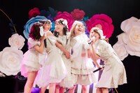 「『WE ARE NOTALL TOUR 2022～みんな笑って！はい、チーズ！～』TOUR FINAL!!  」の様子。