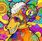 めいちゃんニューアルバムは“ユーモア“がテーマ、初の日本武道館ワンマンも決定