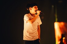 dodo（Photo by cherry chill will.）