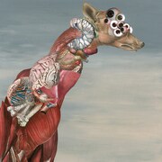 iSOP「Chimera」配信ジャケット