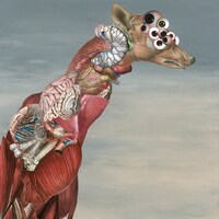 iSOP「Chimera」配信ジャケット