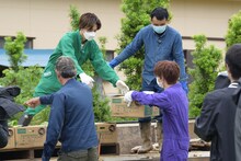 トラックに白菜を積むタクヤとリョウガ。