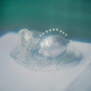 笹川真生「ためらいあいいたい」配信ジャケット