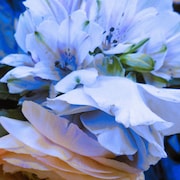 Superyou「波止場」配信ジャケット