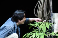 湊孝成役の相葉雅紀（嵐）。