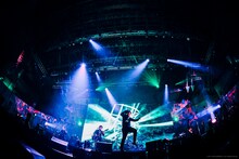 THE PRIMALS「THE PRIMALS Live in Japan - Beyond the Shadow」の様子。