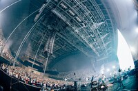 THE PRIMALS「THE PRIMALS Live in Japan - Beyond the Shadow」の様子。