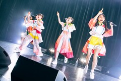 Malcolm Mask McLaren新体制初のワンマンライブ完遂、9月に7周年記念イベント決定