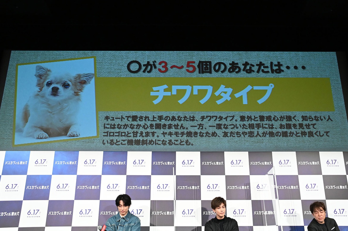 チワワタイプの3人。