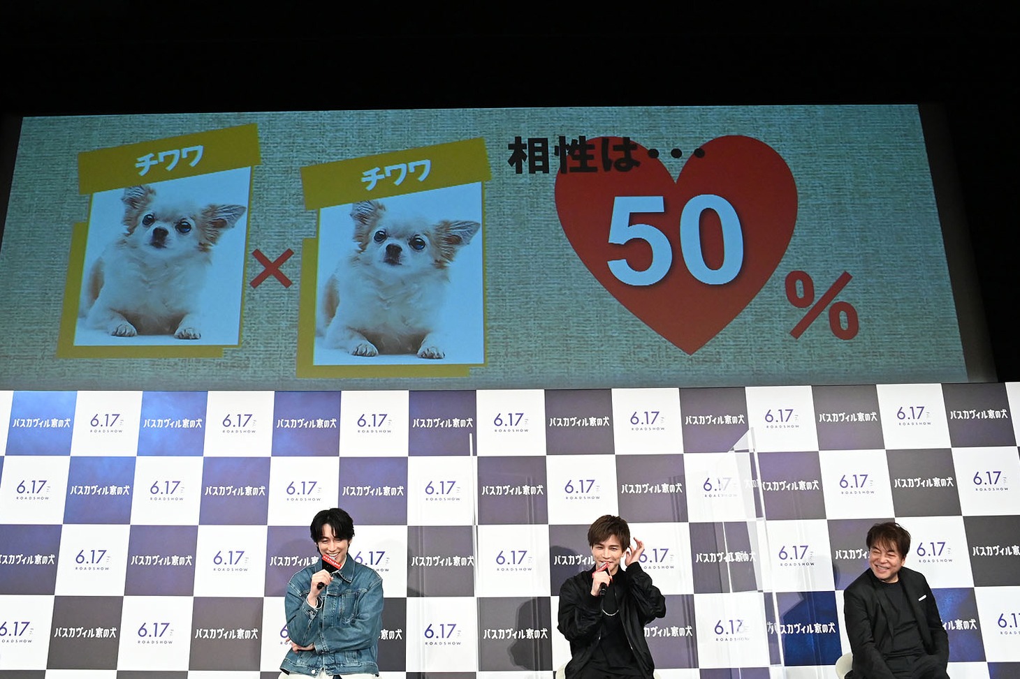 チワワ×チワワの相性が50％であることが発表されたシーン。
