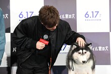 シベリアンハスキーのナイトを愛でる岩田剛典。