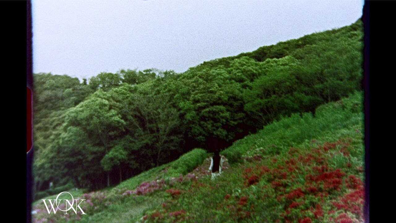 WONK「Migratory Bird」MVより。