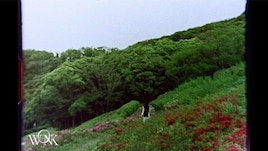 WONK「Migratory Bird」MV公開、スーパー8mmフィルムで撮影した井上幹ディレクション作品