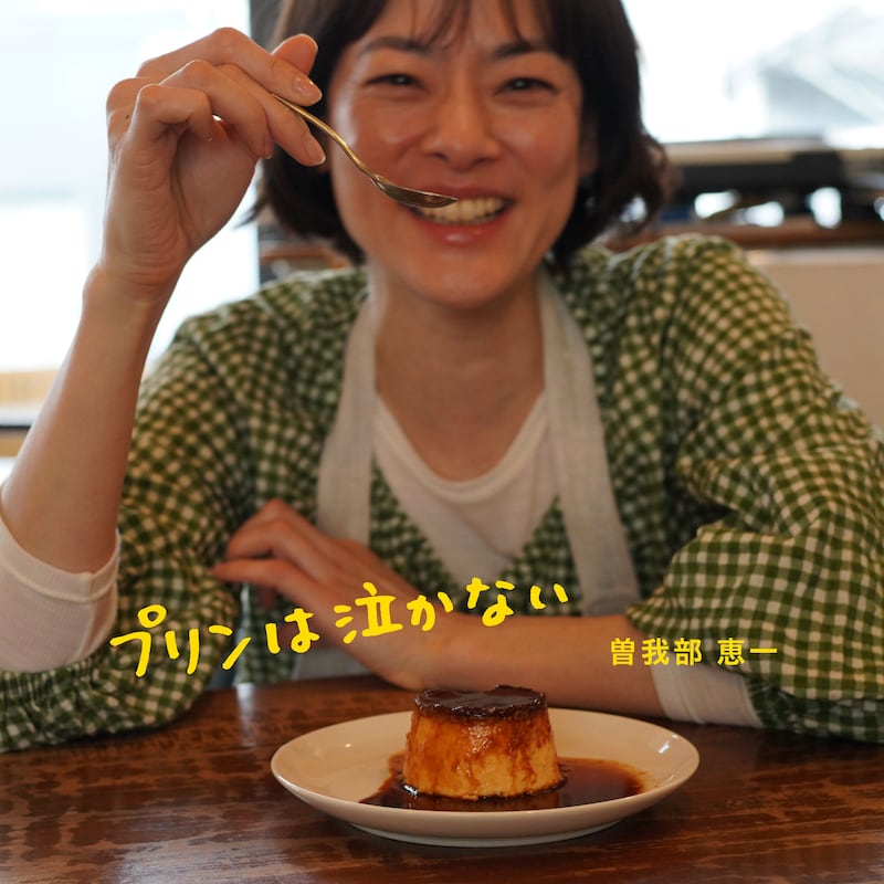 曽我部恵一「プリンは泣かない」ジャケット