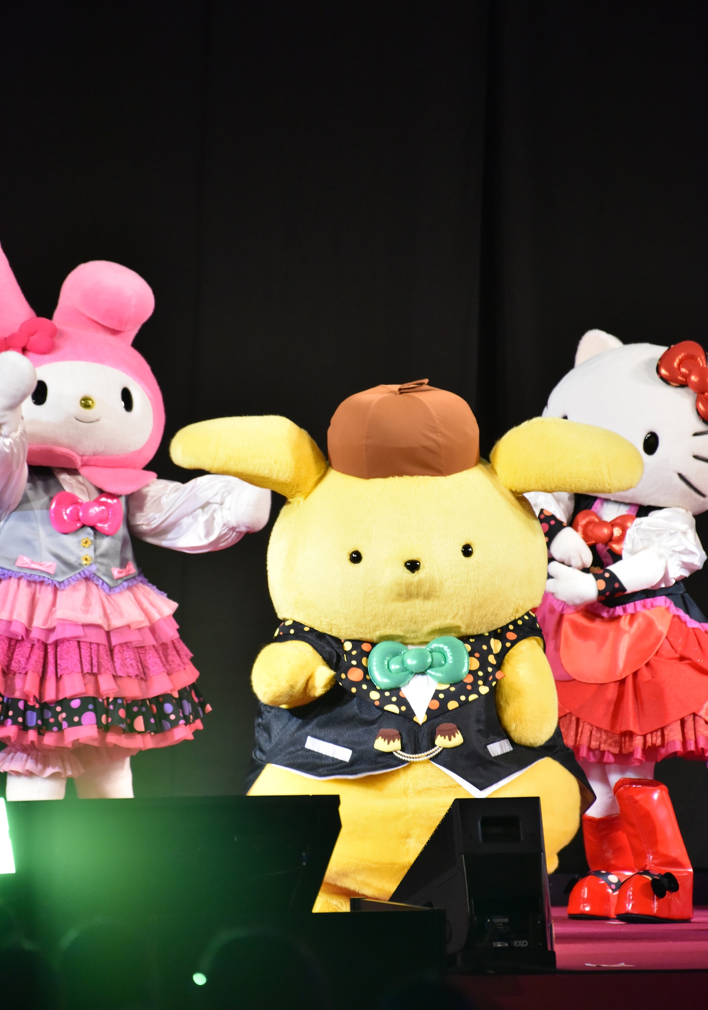 2位に輝き、躍動感ある動きを見せるポムポムプリン。