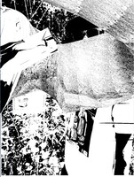 ∈Y∋（BOREDOMS）