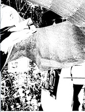 ∈Y∋（BOREDOMS）