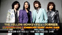 ニコニコ生放送「THE YELLOW MONKEYデビュー30周年記念 ニコ生が燃えている！ 30時間BURN！BURN！BURN！生放送」ビジュアル