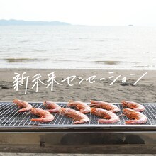 私立恵比寿中学「新未来センセーション」配信ジャケット