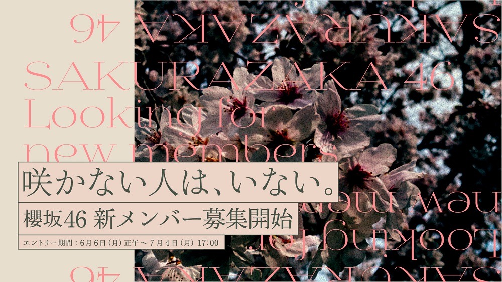 「櫻坂46 新メンバーオーディション」キービジュアル