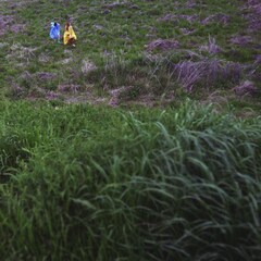 macaroomが4年ぶり新アルバム発売、安部公房「第四間氷期」から着想を得て制作