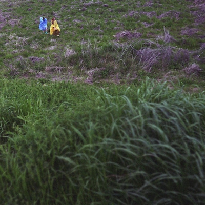 macaroom「inter ice age 4」ジャケット