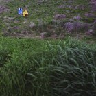 macaroomが4年ぶり新アルバム発売、安部公房「第四間氷期」から着想を得て制作