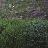 macaroom「inter ice age 4」ジャケット