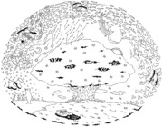 「キンモクセイ デビュー20 周年『ありがとう!!』シリーズ」ビジュアル