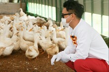 宮川大輔と最上鴨。(c)日本テレビ