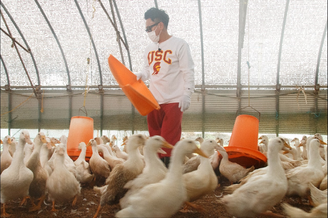 King & Prince神宮寺勇太が宮川大輔と山形へ、鴨のヒナに歓迎される