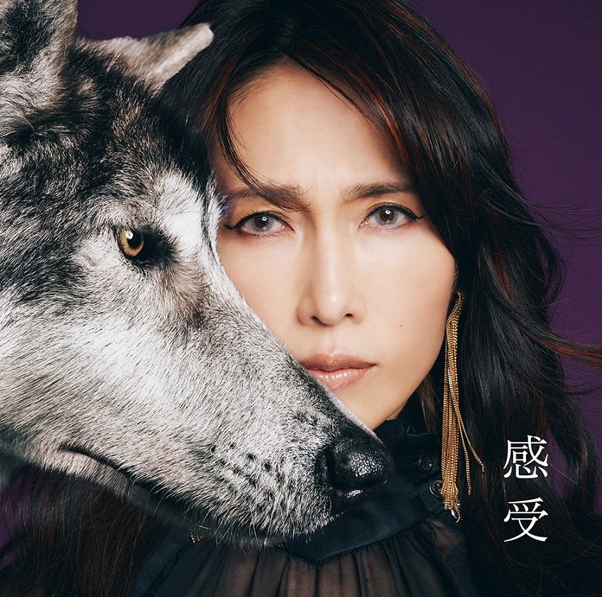 工藤静香「感受 Shizuka Kudo 35th Anniversary self-cover album」ジャケット