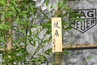 佐野勇斗（M!LK）の書いた短冊。