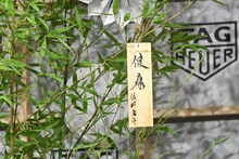 佐野勇斗（M!LK）の書いた短冊。