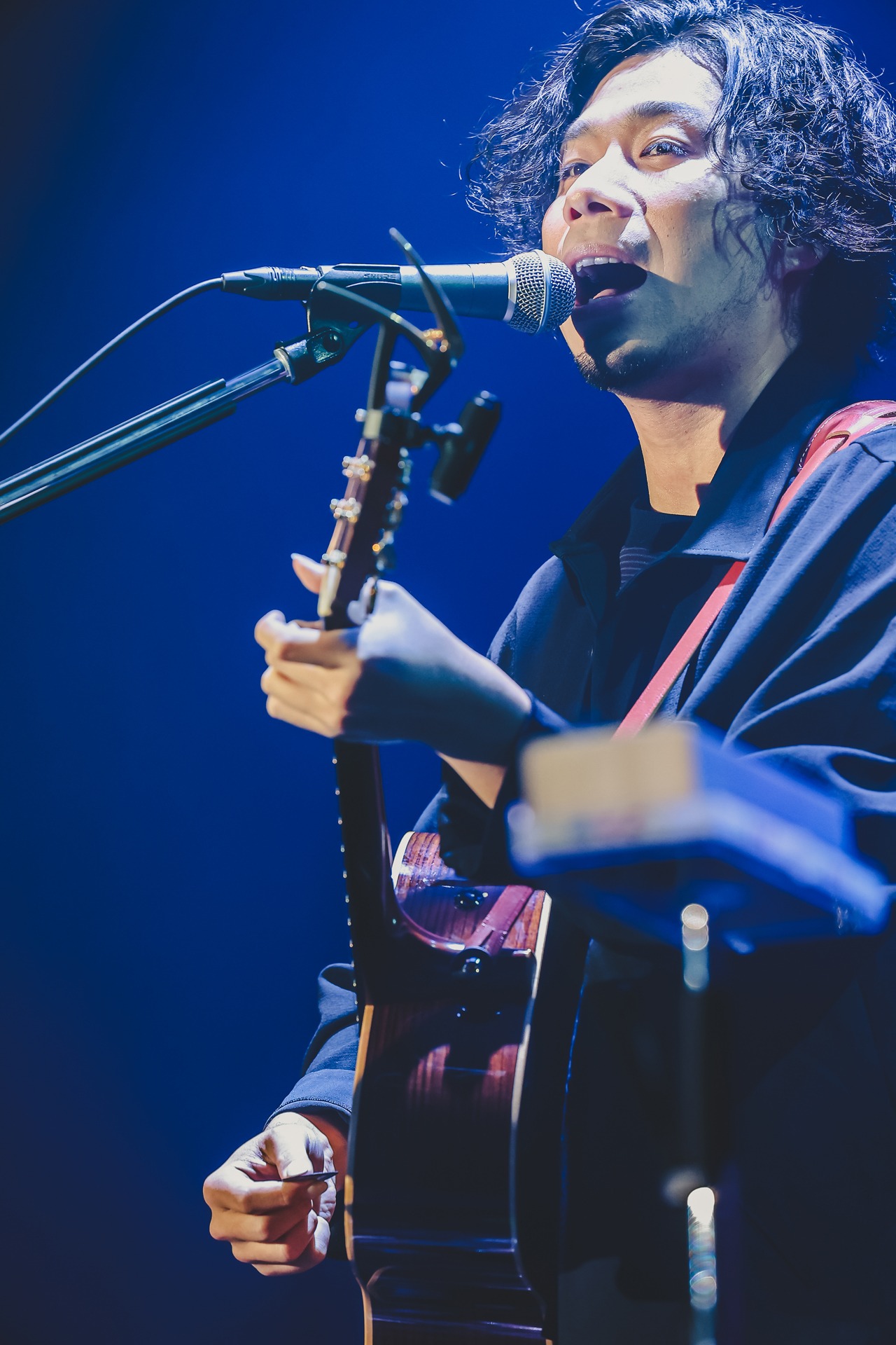 吉田結威（G, Vo）（撮影：白石達也）