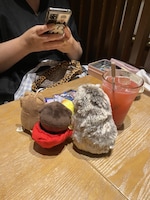 トレカ飯のメイキング。黄色くちらりと見えているのが土岐麻子のグッズのひよこのぬいぐるみ。