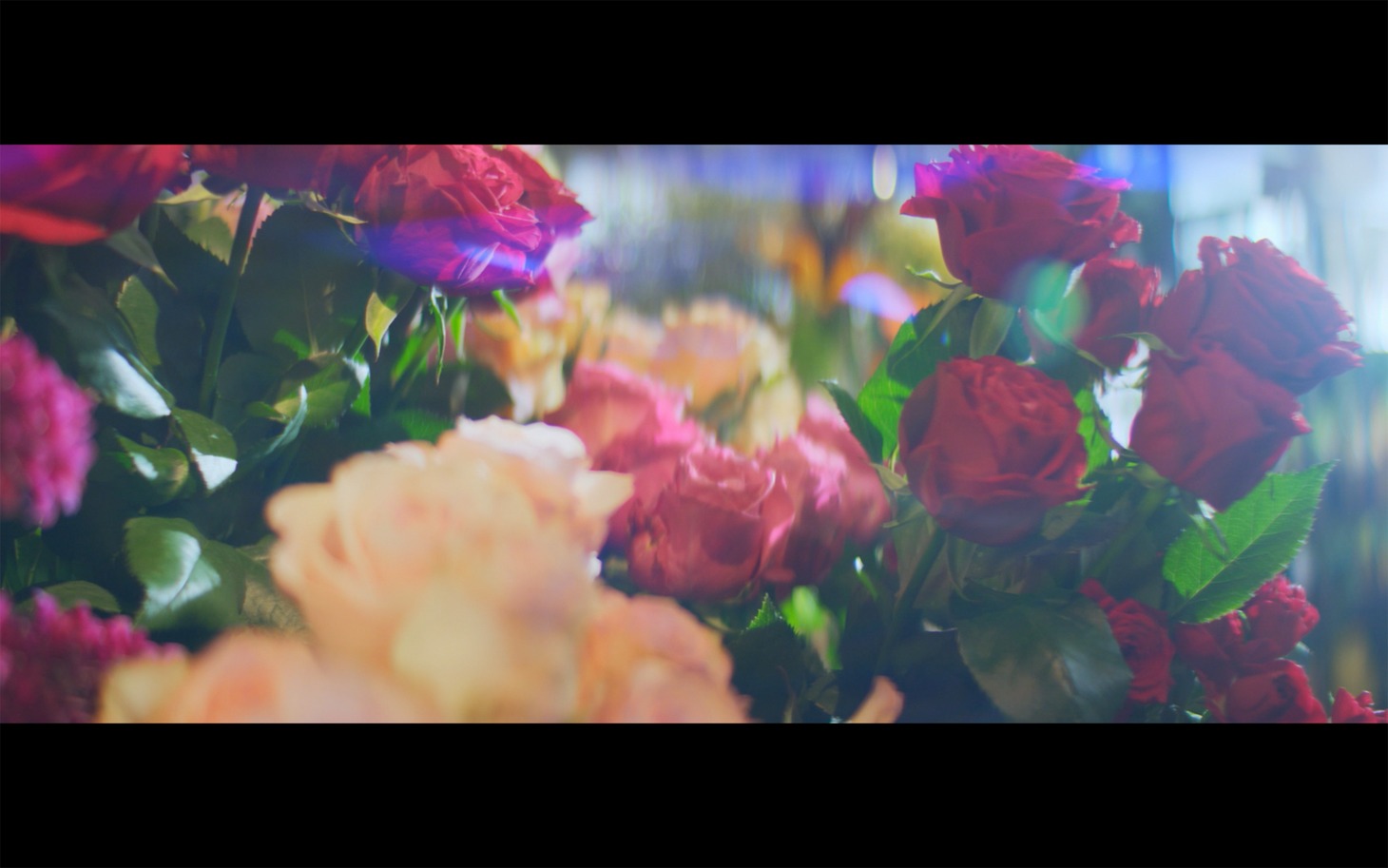 YELLOW by VOYZ BOY「Drivin'」MVより。
