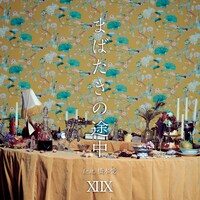XIIX「まばたきの途中 feat. 橋本愛」配信ジャケット
