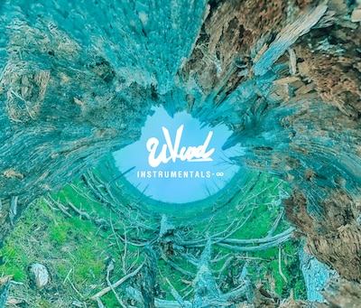 UVERworld「INSTRUMENTALS-∞」ジャケット