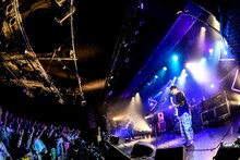 「PELICAN FANCLUB ONEMAN LIVE - F -」の様子。