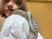 愛美の肩に乗るアニー。